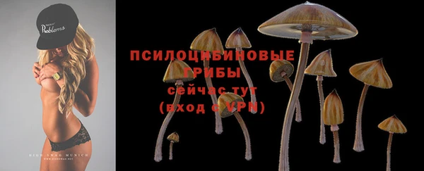 jwh Михайлов