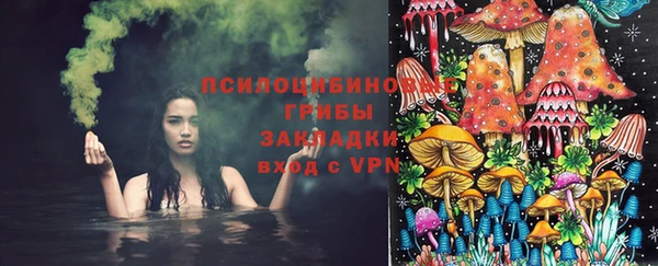 таблы Михайловск