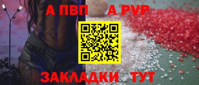 гашик Кингисепп
