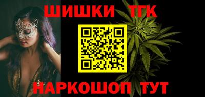 гашик Кингисепп