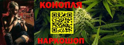 гашик Кингисепп