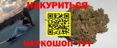 гашик Кингисепп