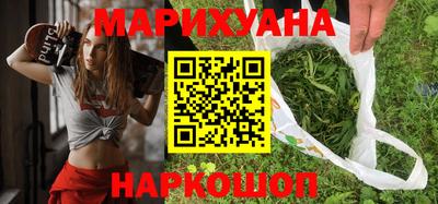 гашик Кингисепп