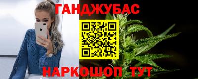 гашик Кингисепп