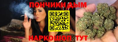 гашик Кингисепп