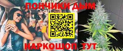 гашик Кингисепп