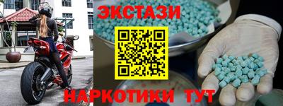 гашик Кингисепп
