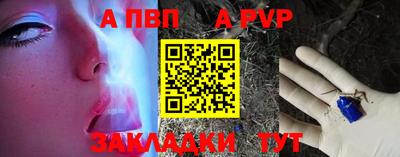 гашик Кингисепп