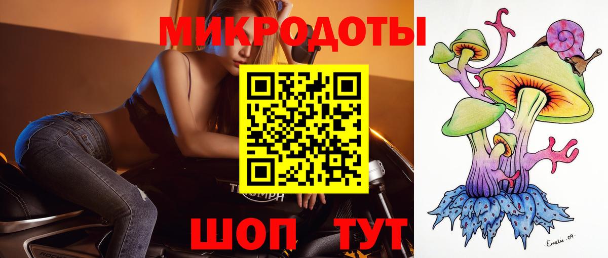 Псилоцибиновые грибы Psilocybe Обь