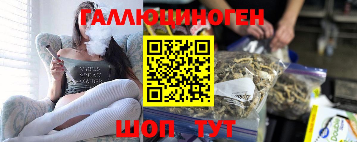Галлюциногенные грибы GOLDEN TEACHER  Вход с VPN  Обь 