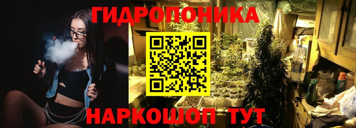 Шишки марихуана Bruce Banner  Бошки Шишки сатива  Вход с VPN  Канабис SATIVA & INDICA  Обь 